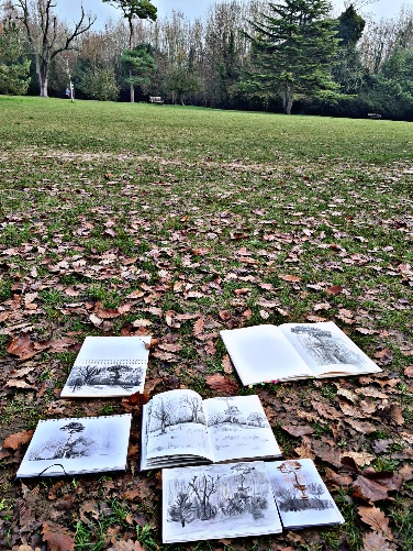 Drawing En Plein Air