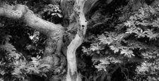 Carshalton Artists Open Studios 2023