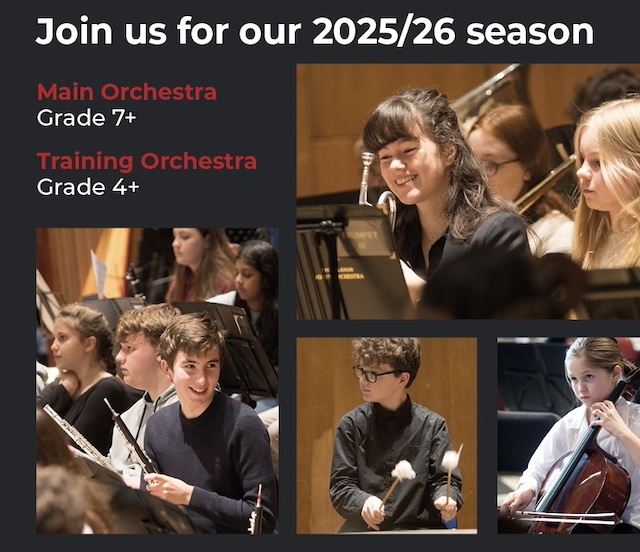 Stoneleigh Youth Orchestra auditions - 25/26 season